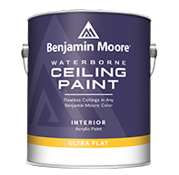 Neu's Hardware Tools Paint Waterborne Ceiling Paint is an ultra flat finish designed to hide common ceiling imperfections for a look that is virtually flawless.boom